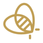 Store Icon